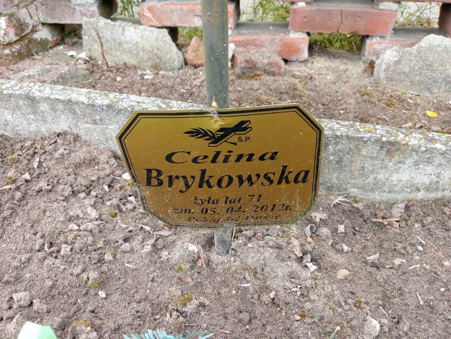 Celina Brykowska Rossoszyca - Grobonet - Wyszukiwarka osób pochowanych